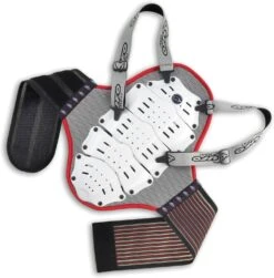 UFO BACK PROTECTOR WITH BELT