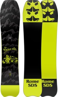ROME SERVICE DOG