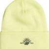 BILLABONG THEME BEANIE