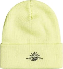 BILLABONG THEME BEANIE