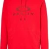 OAKLEY WOVEN BARK PULLOVER HOODIE -Volcom Negozio 48138 17132 0 0