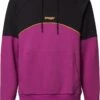OAKLEY TNP ROTATION RC DWR HOODIE -Volcom Negozio 48144 17497 0 0